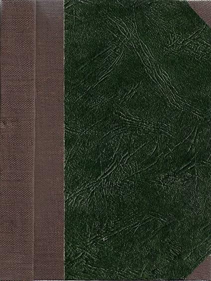 Capitan Dodèro - Una note bizzarra - Anton G. Barrili - copertina