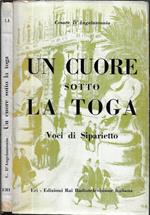 Un cuore sotto la toga