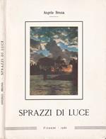 Sprazzi di luce