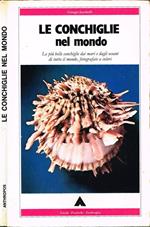 Le conchiglie nel mondo