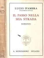 Il passo nella mia strada