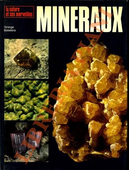 Les minéraux - Vincenzo De Michele - copertina