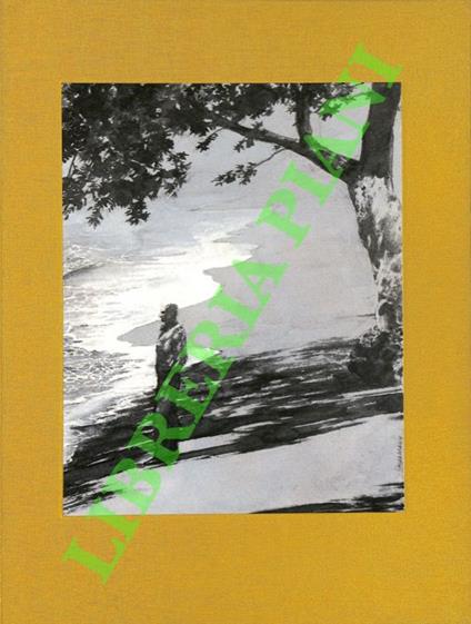 Il grande Gatsby. Acquarelli di Hans Hillmann. - Francis Scott Fitzgerald - copertina