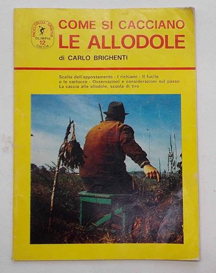 Come si cacciano le allodole - copertina