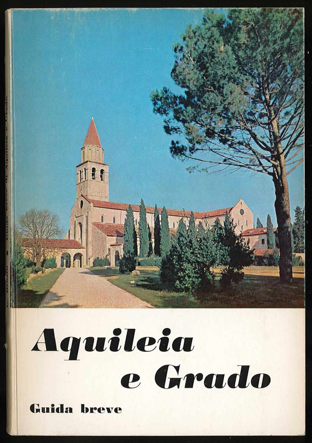 Libreria Trippini Sergio