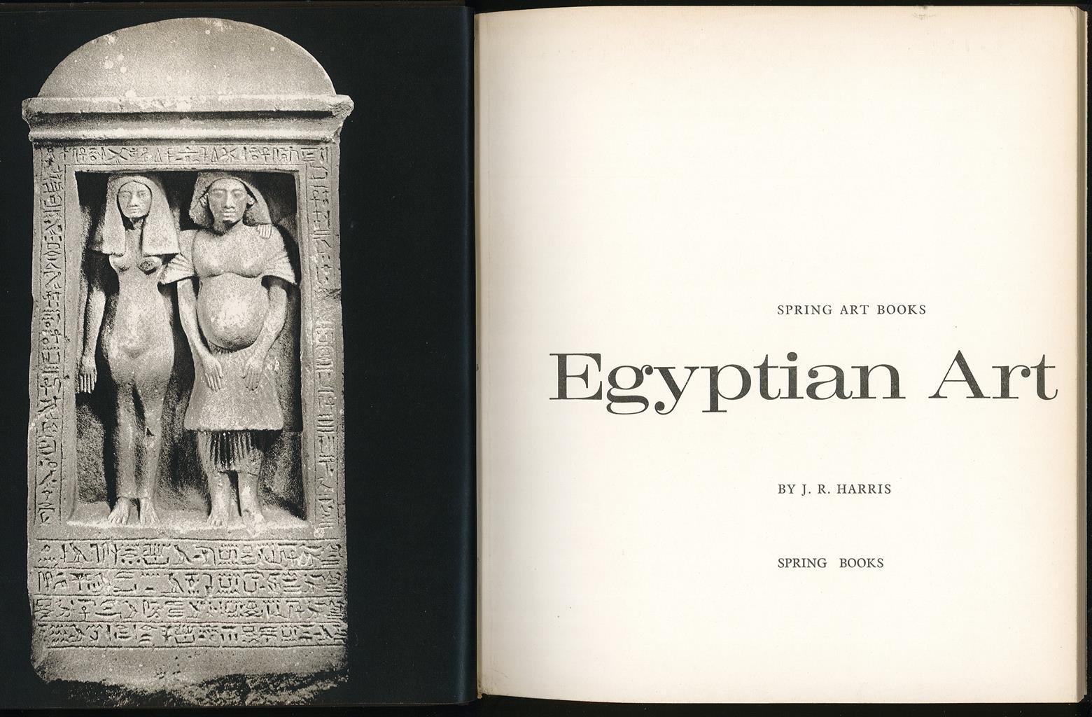 Libreria Trippini Sergio