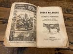 Il Cuoco Milanese e la Cuciniera Piemontese. Manuale di cucina indispensabile per ogni ceto di famiglie. Il fac-totum della Cucina