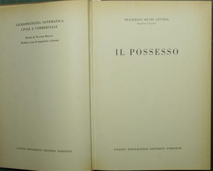 Il possesso - Francesco S. Gentile - copertina