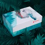Cofanetto Into The Wild. Adattarsi, Il giardino di marmo, Blizzard - La Box 17