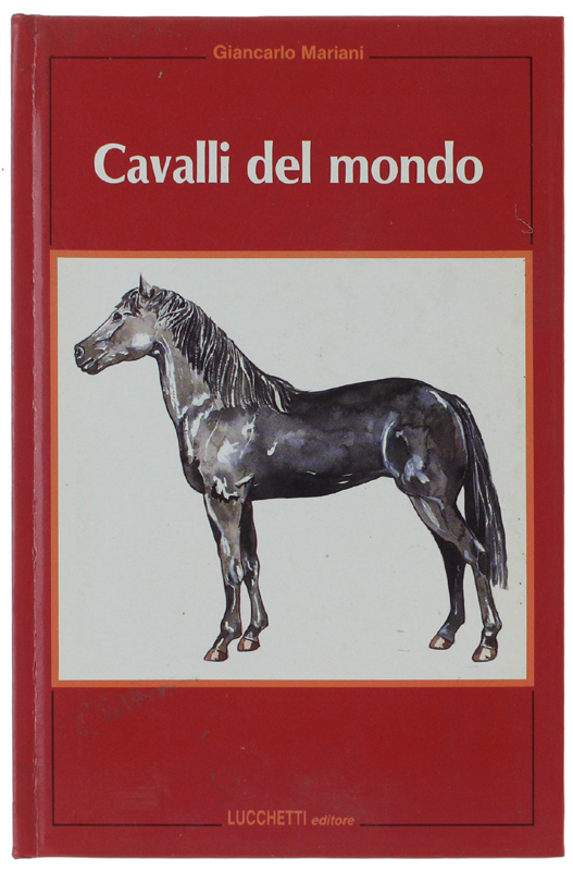 Bergoglio Libri d'Epoca Snc