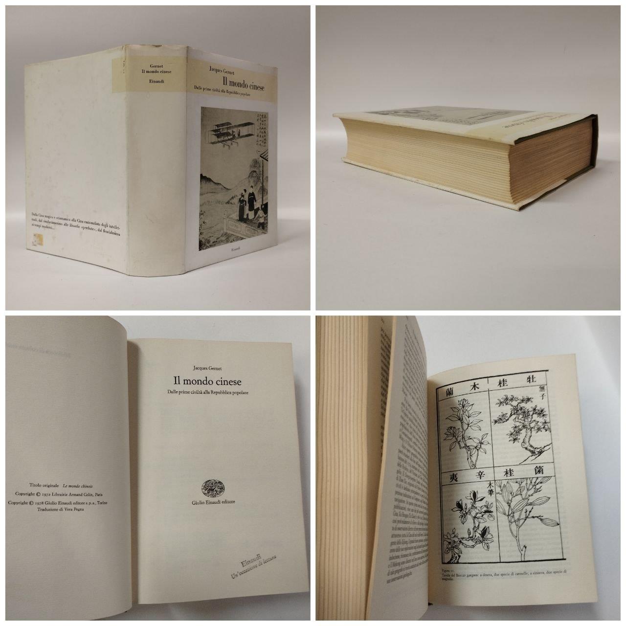 Il mondo cinese. Dalle prime civilta alla Repubblica popolare