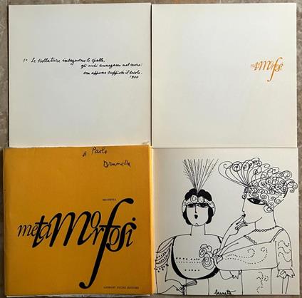 Metamorfosi - Brunetta - copertina