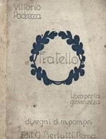 Fratello. Libro per la giovinezza