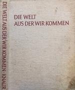 Die welt aus der wirkommen