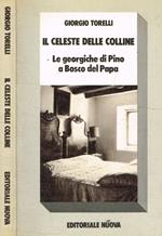 Il celeste delle colline