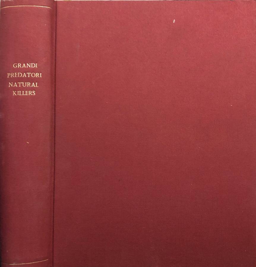 Biblioteca di Babele