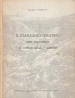 Il paesaggio triestino