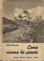 Come vivono le piante