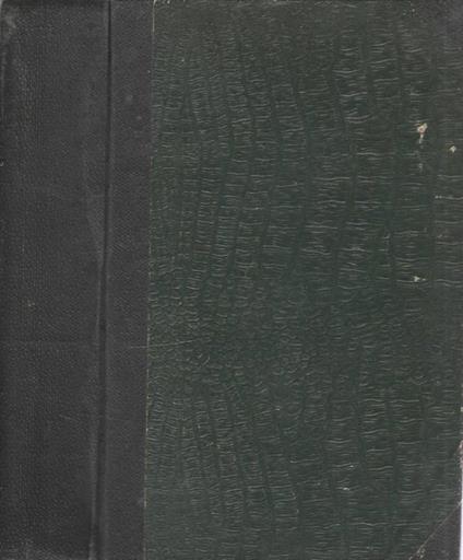 Fortunato in amore - Luciano Zuccoli - copertina