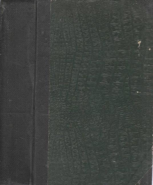 Fortunato in amore - Luciano Zuccoli - copertina