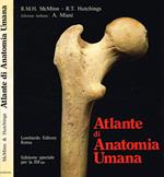 Atlante di anatomia umana