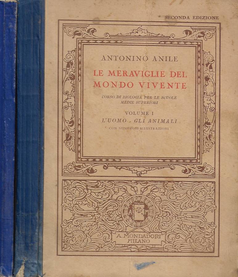 Biblioteca di Babele