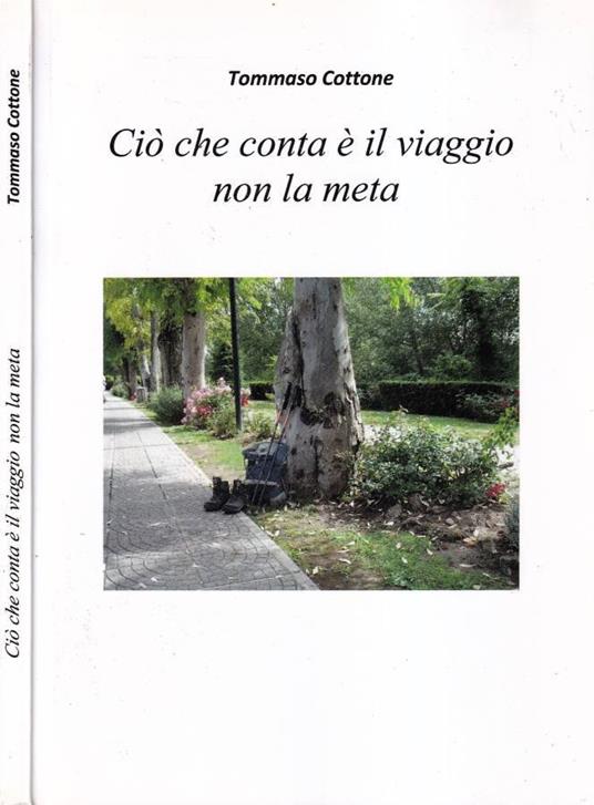 Ciò che conta è il viaggio non la meta - copertina