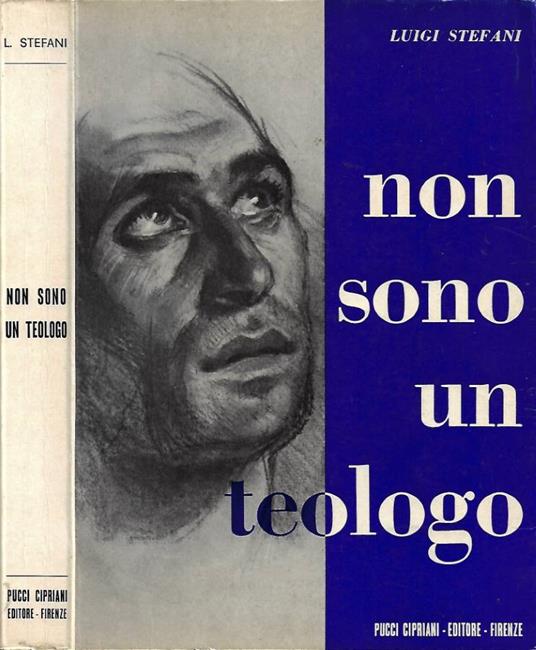 Non sono un teologo - Luigi Stefani - copertina