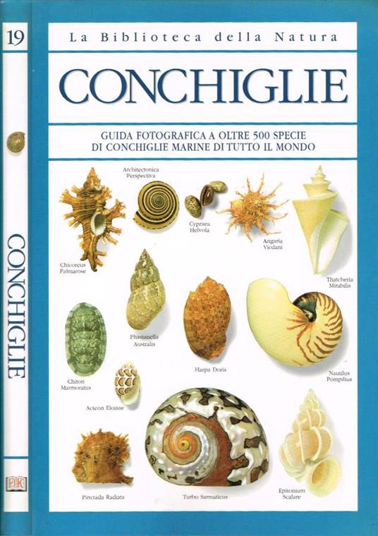 Conchiglie - S. Peter Dance - copertina