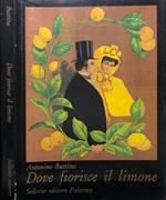 Dove fiorisce il limone