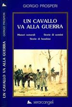 Un cavallo va alla guerra