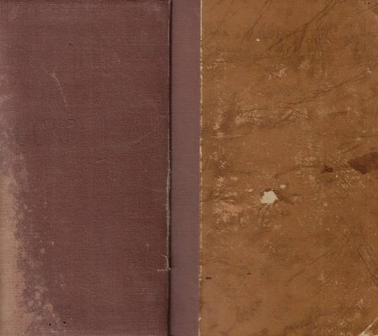 Dizionario scolastico Italiano-inglese Inglese-italiano - Nicola Spinelli - copertina