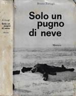 Solo un pugno di neve