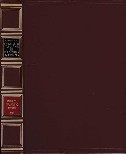 Indirizzi Terapeutici Attuali vol II - copertina