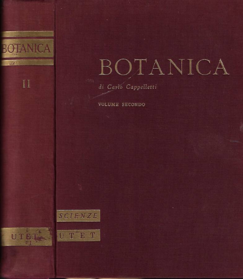 Biblioteca di Babele
