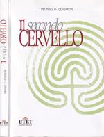 Il secondo cervello
