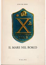 Il mare nel bosco