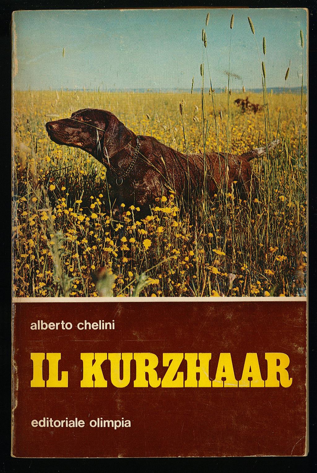 Libreria Trippini Sergio