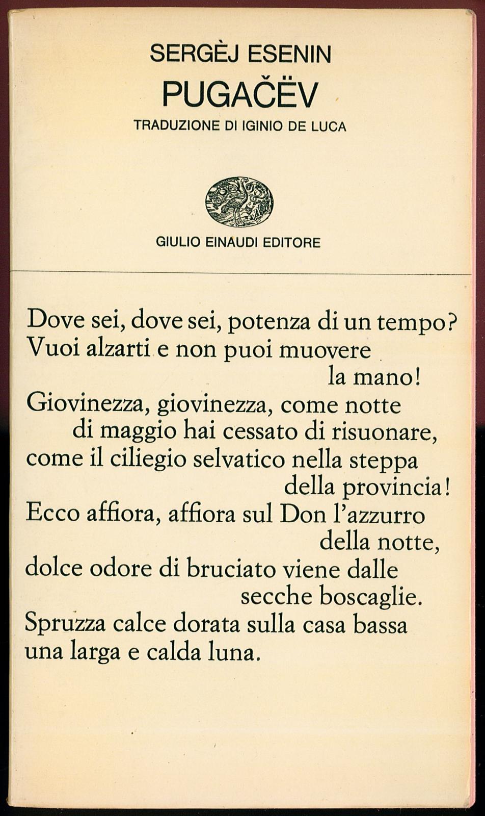 Libreria Trippini Sergio