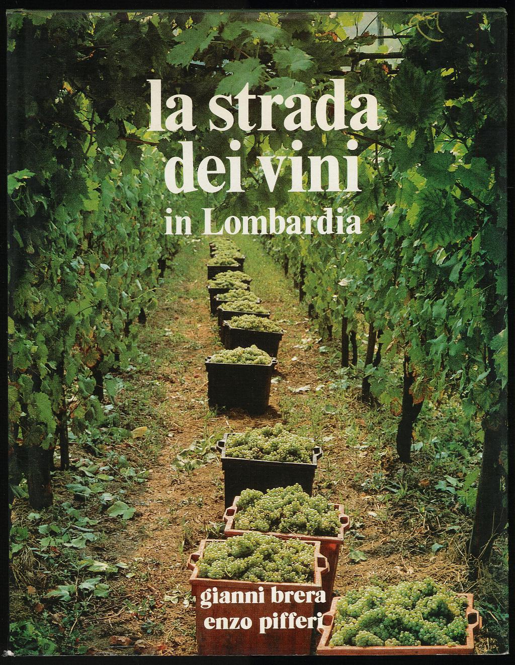 Libreria Trippini Sergio