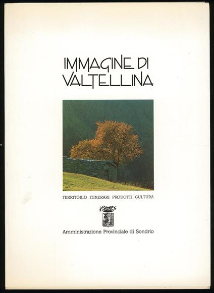 Immagine di Valtellina - Franco Monteforte - copertina