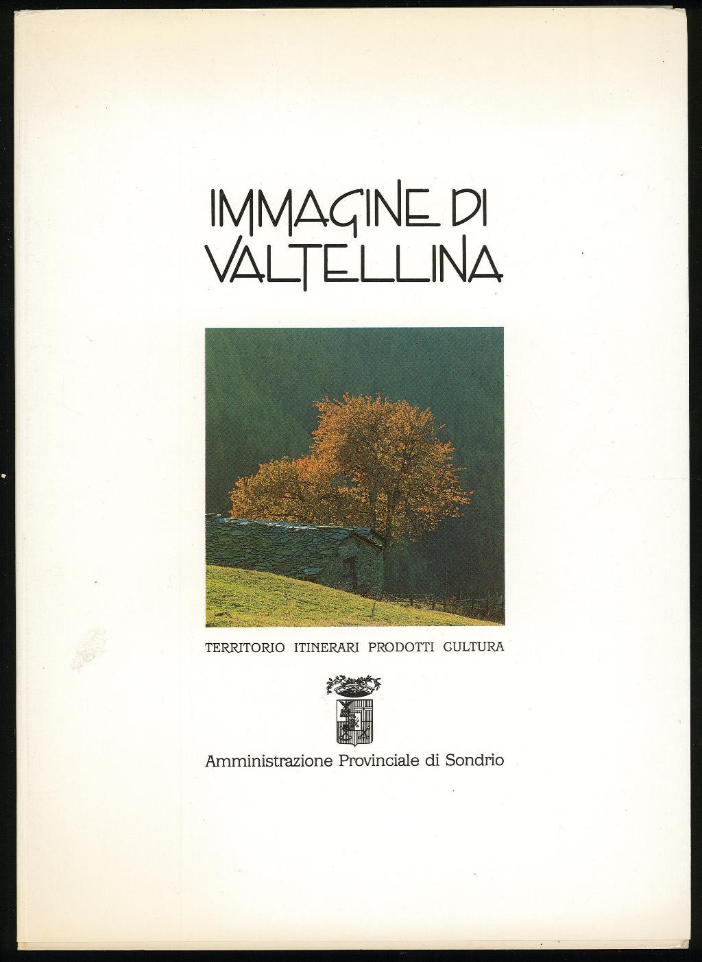 Immagine di Valtellina
