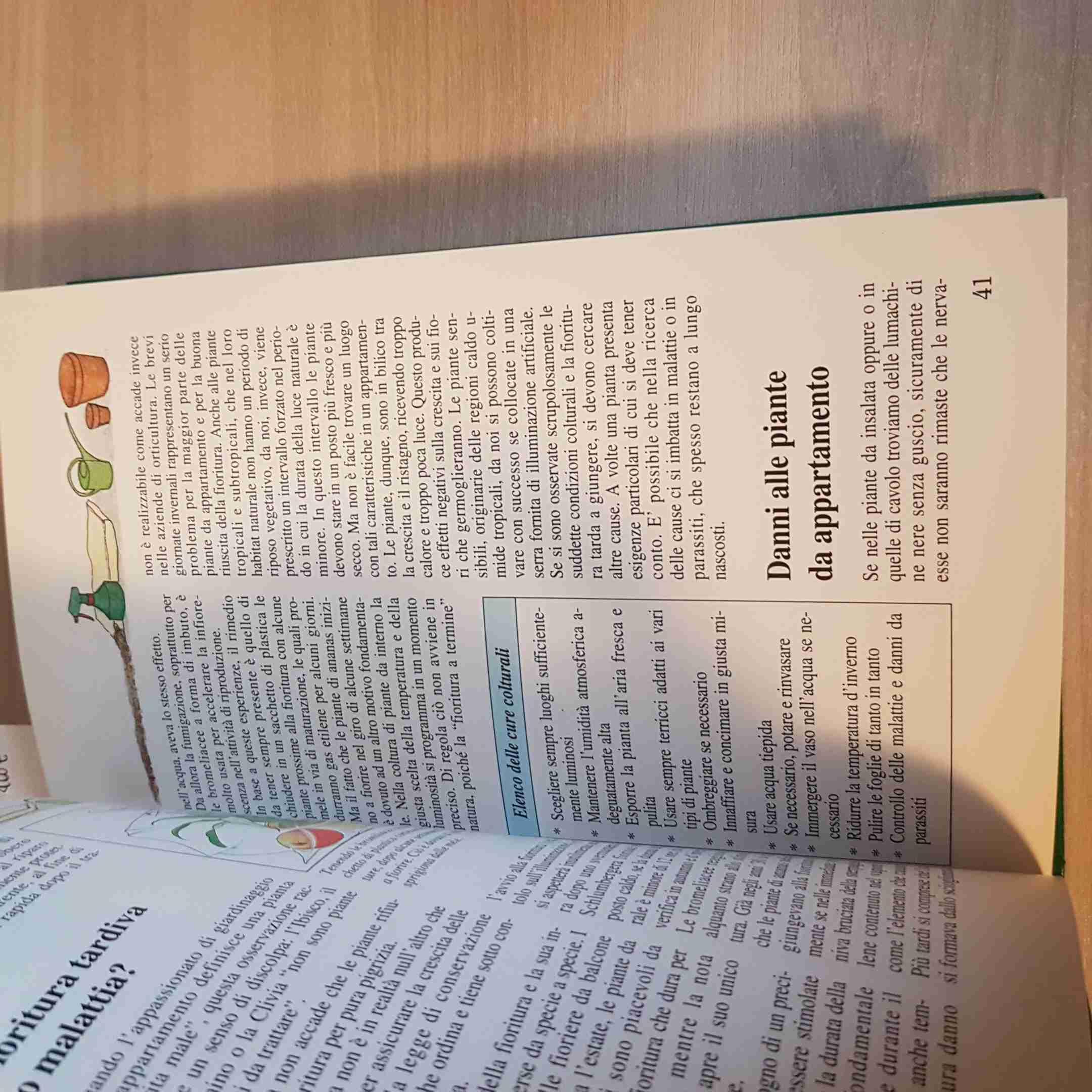 Le PIANTE IN CASA - ILLUSTRATO A COLORI concimazione potatura... EDIGRAMMA 1990