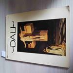 Dalì - David Larkin - Mondadori - 1975 Salvador