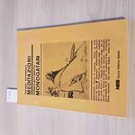 Meditazioni - Monogatari - Notarnicola, Betti, Berutto - Editrice Spada