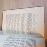 Diceria Dell'Untore - Gesualdo Bufalino - Sellerio Editore - 1990