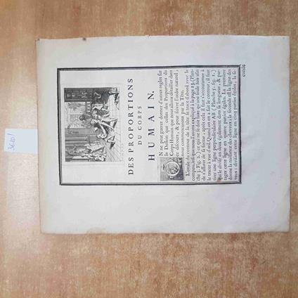 INCISIONE STAMPA FRANCESE '800 des proportions du corps humain ANATOMIA UMANA - copertina