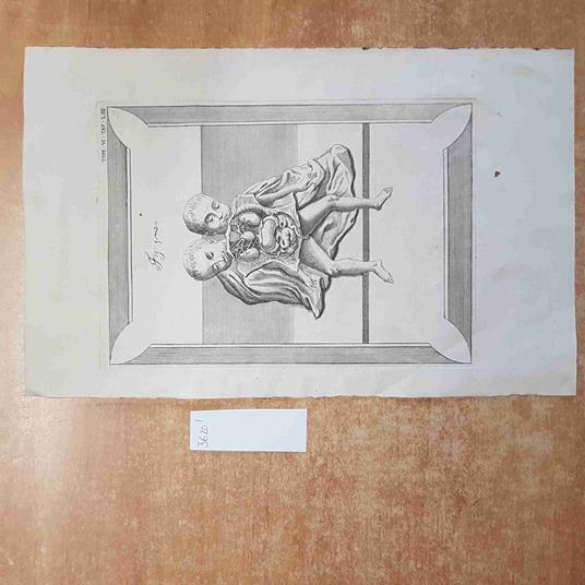 INCISIONE STAMPA '800 anatomia umana medicina OTTOCENTO 37 X 23 cm - copertina