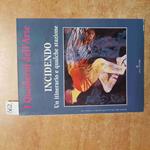 I QUADERNI DELL'ARTE INCIDENDO un itinerario e qualche stazione LALLI EDITORE