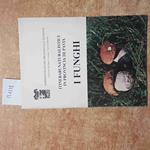 ITINERARI NATURALISTICI IN PROVINCIA DI PAVIA i funghi 1980 pavese oltrepo